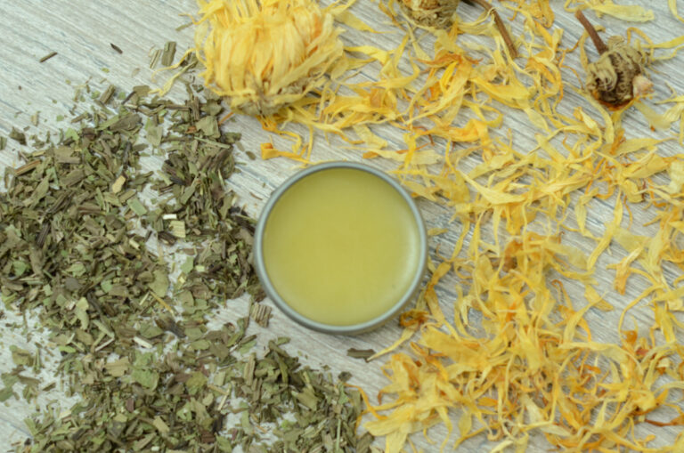 Homemade Bug Bite Salve for Itchy Spots – Herbal Academy