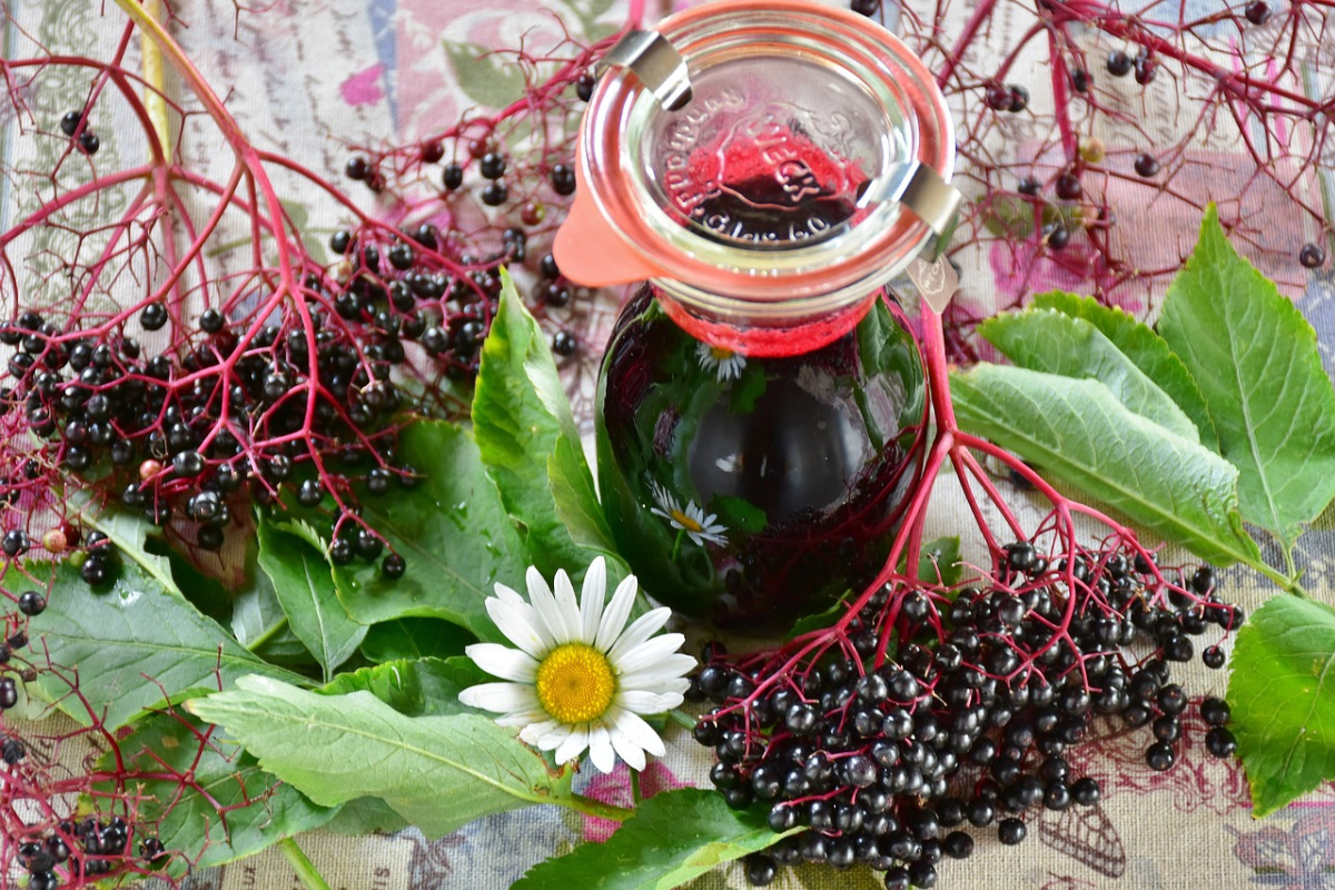 Herbal Academy