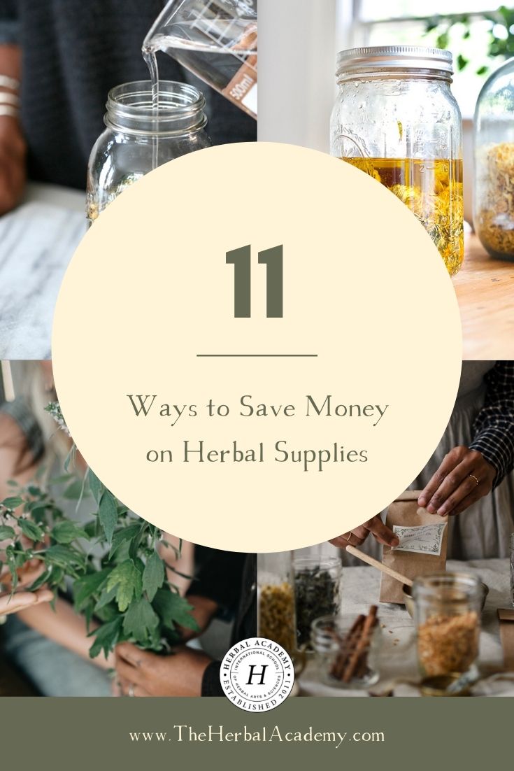 11 Ways to Save Money on Herbal Supplies | Herbal Academy | We truly believe that herbal education should be both affordable and accessible. Here are eleven ways to save money on herbal supplies.