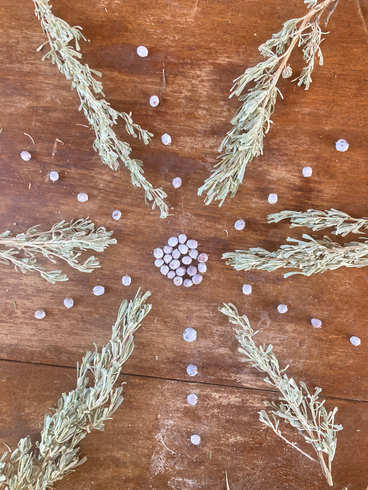 sagebrush on a table 