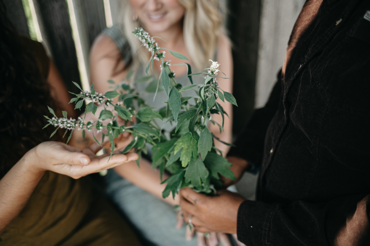 sharing herbs