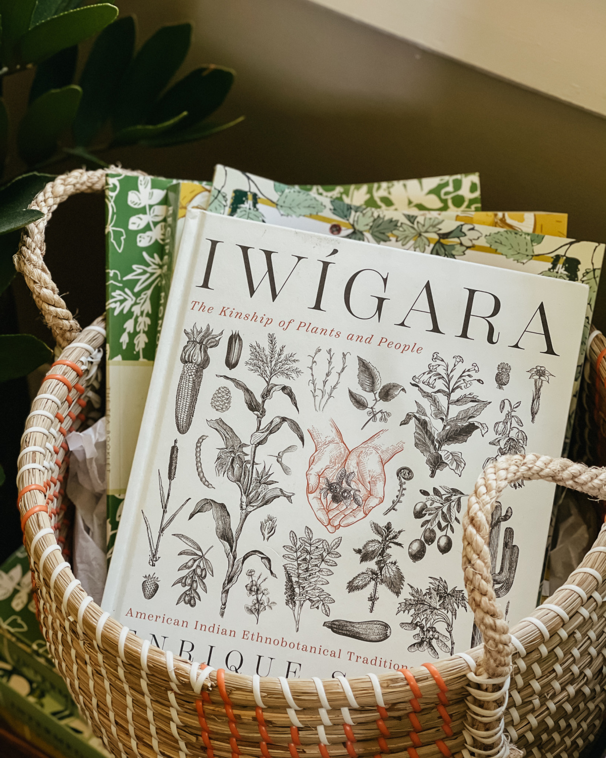 Iwigara book in a basket 