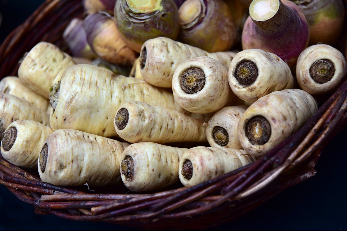 parsnips in a basket