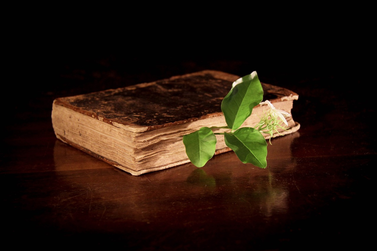 ancient book on a table