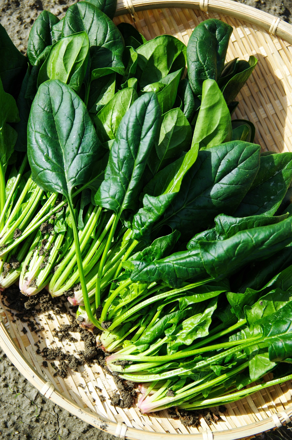 spinach in a basket