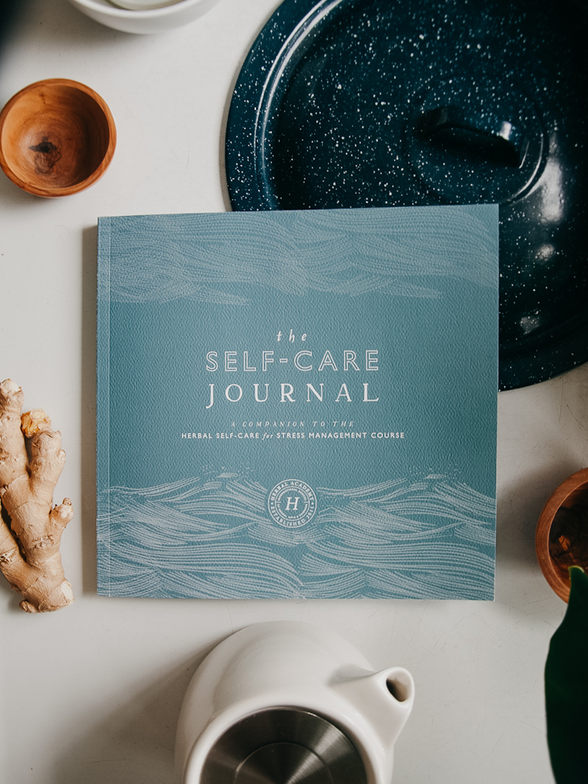 the self-care journal