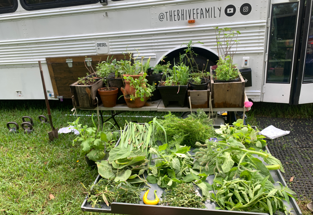 Shiang-ling garden produce and potted plants