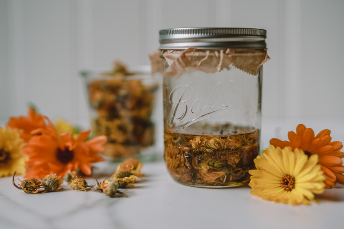 jar of calendula infusion with calendula flowers on the table