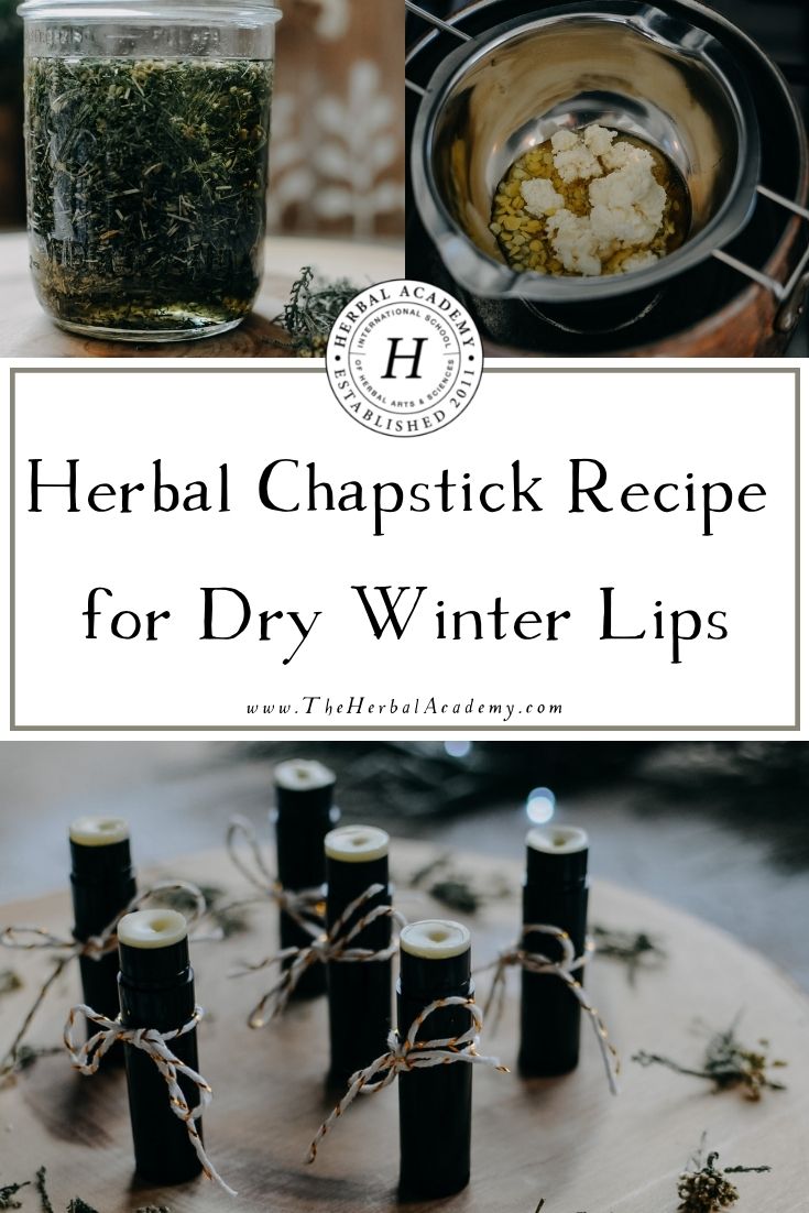 Herbal Chapstick Recipe for Dry Winter Lips | Herbal Academy | This herbal chapstick recipe is perfect for coating, soothing, and protecting chapped lips, making it the perfect go-to for the winter.