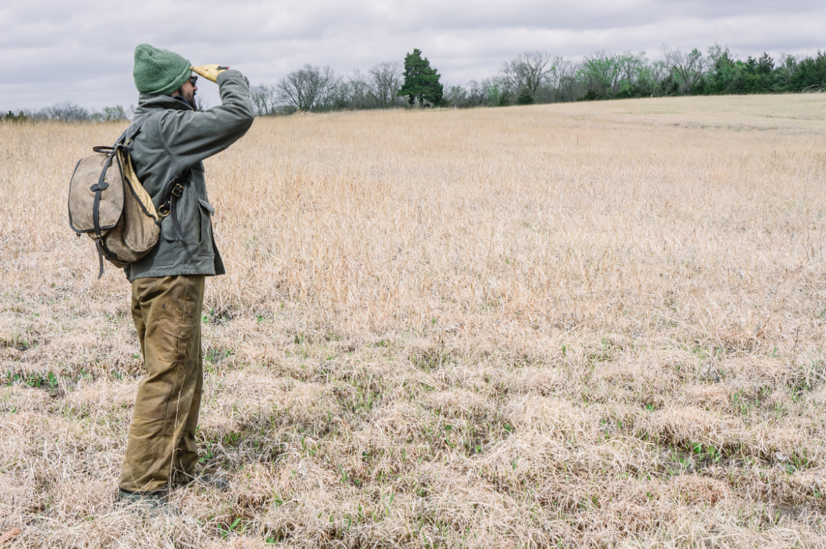 man looking over a field