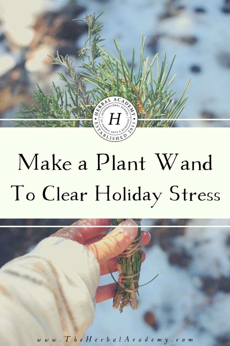 This holiday season, step out into nature and find these herbs to make your own plant wand and keep holiday stress at bay.  