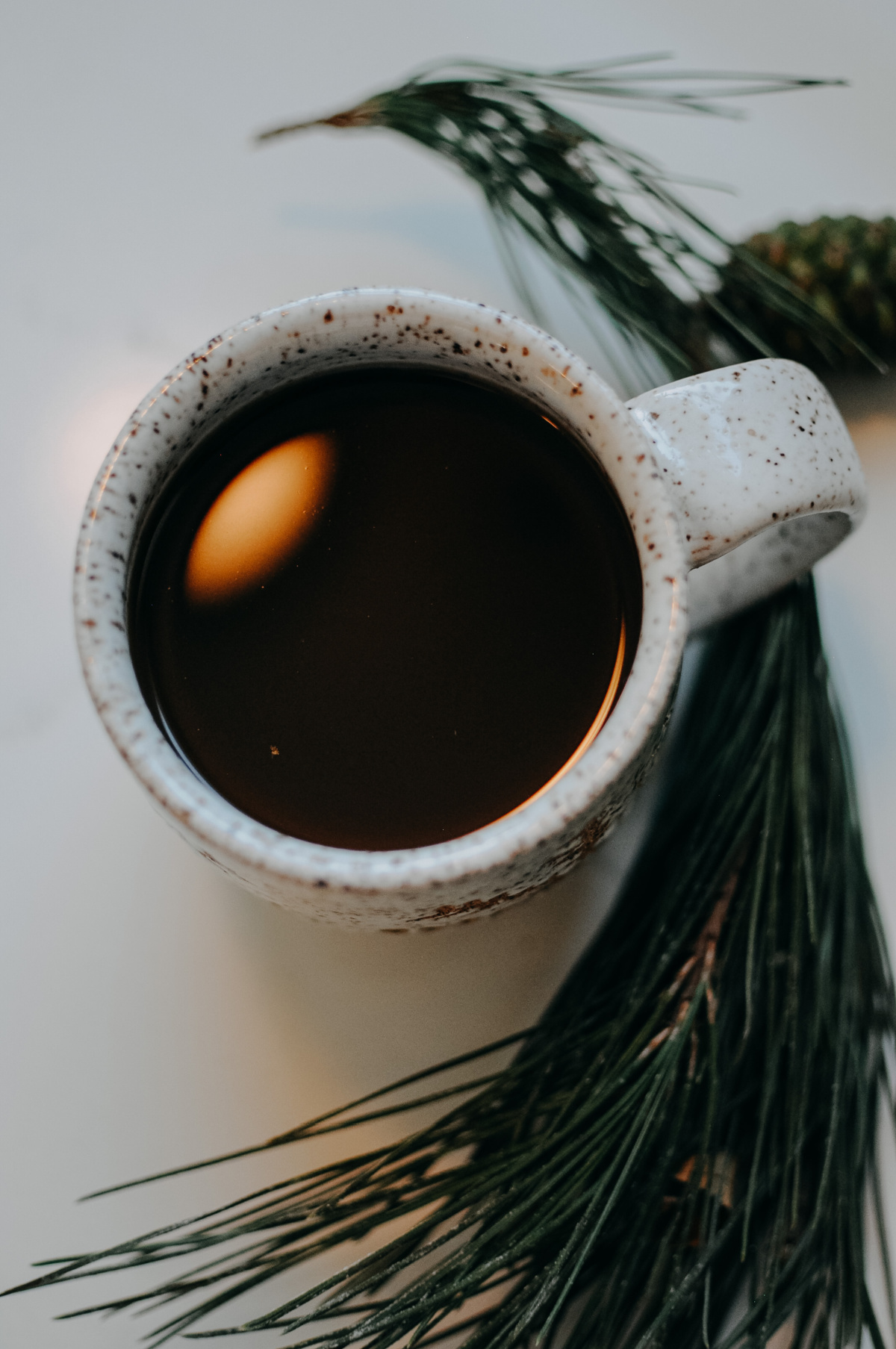 mug of astragalus chai