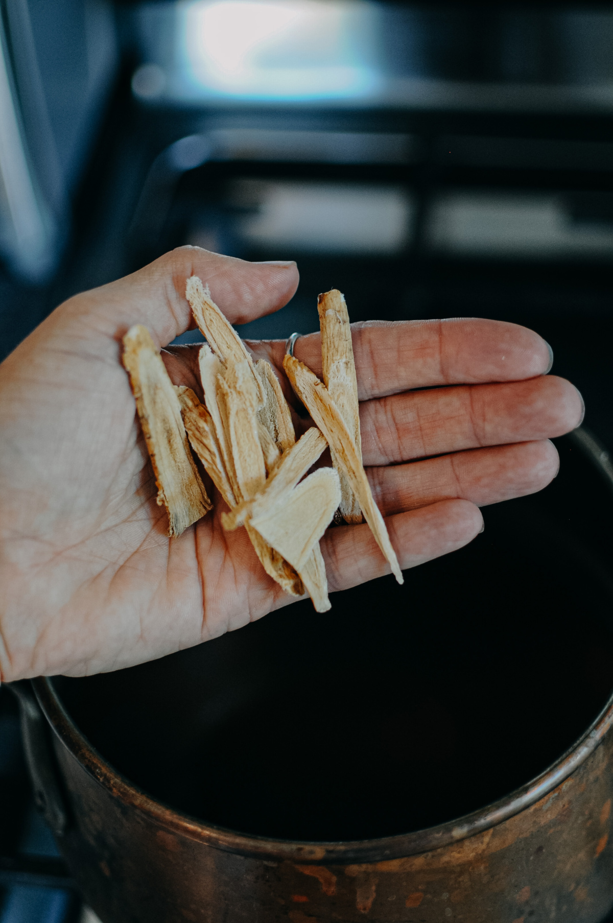 hand holding dried astragalus