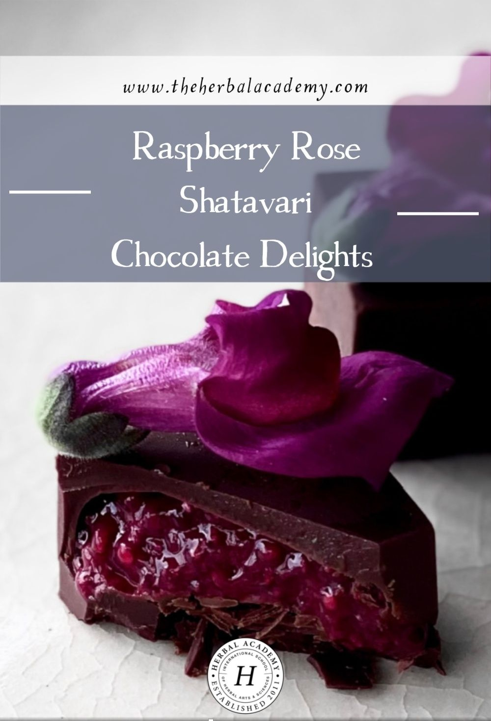 Raspberry Rose Shatavari Chocolate Delights | Herbal Academy | Today we are sharing a recipe for Raspberry Rose Shatavari Chocolate Delights - a perfect treat for Valentine's Day or any day of the year.