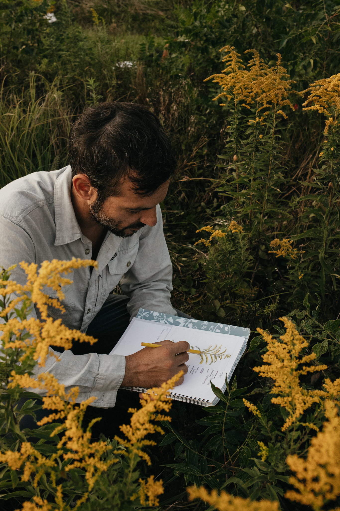 Botanical Drawing for Herbalists Course