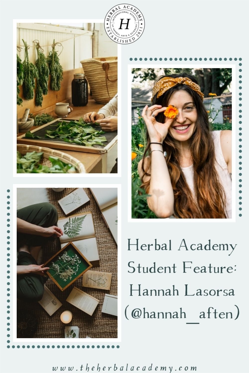 Herbal Academy Student Feature: Hannah Lasorsa (@hannah_aften) | Herbal Academy | Hannah Lasorsa, the owner of Herbal Content Cottage, works with herbalism and gardening brands to help them create inspiring content.