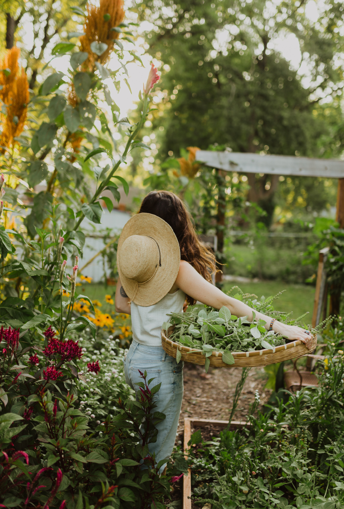 herbalist with basket of herbs