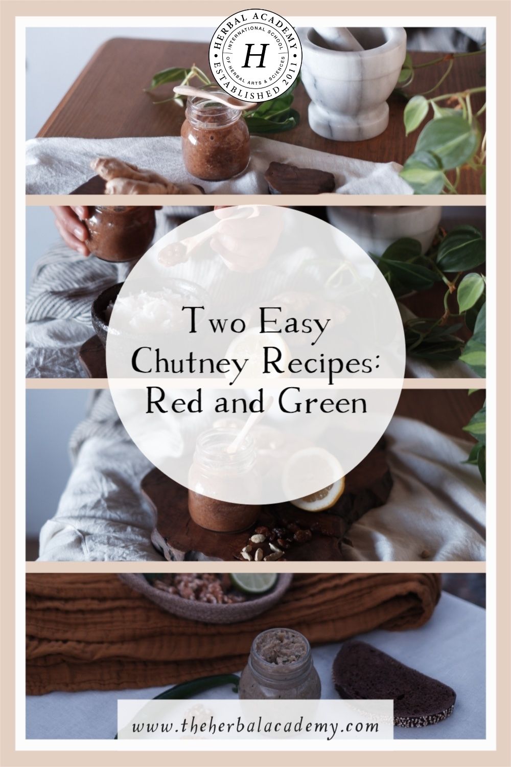 Two Easy Chutney Recipes: Red and Green | Herbal Academy | Here are two delicious chutney recipes that are suitable for late winter and spring and are a great way to provide flavor to everyday dishes.