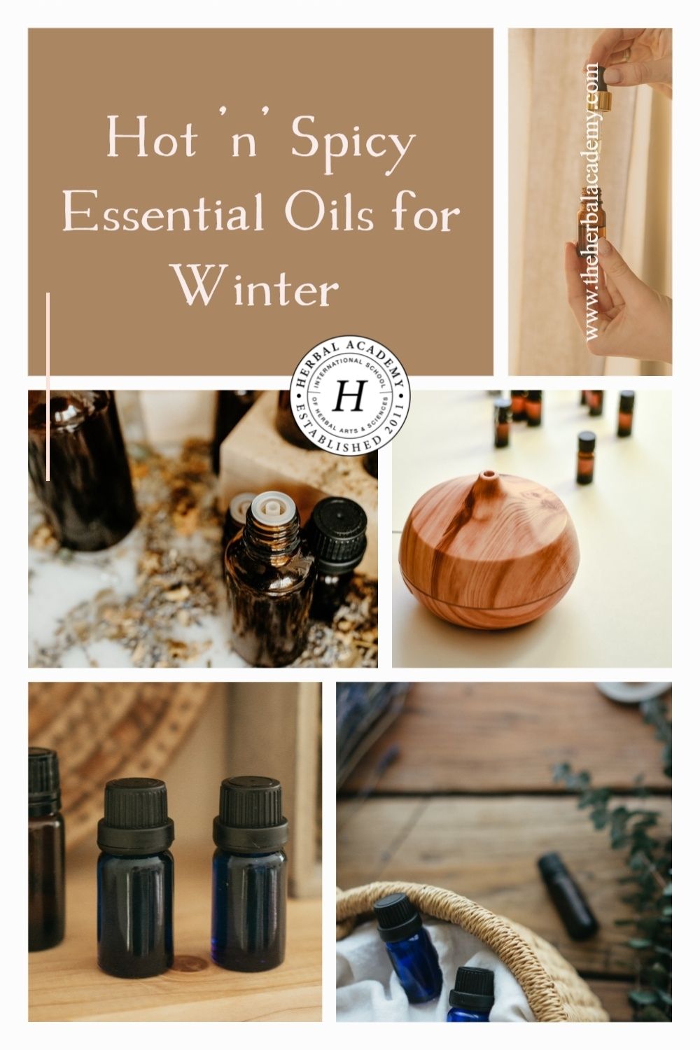 Hot ‘n’ Spicy Essential Oils for Winter | Herbal Academy | This time of year is perfect for creating essential oils for winter blends to ease upper respiratory disease symptoms.