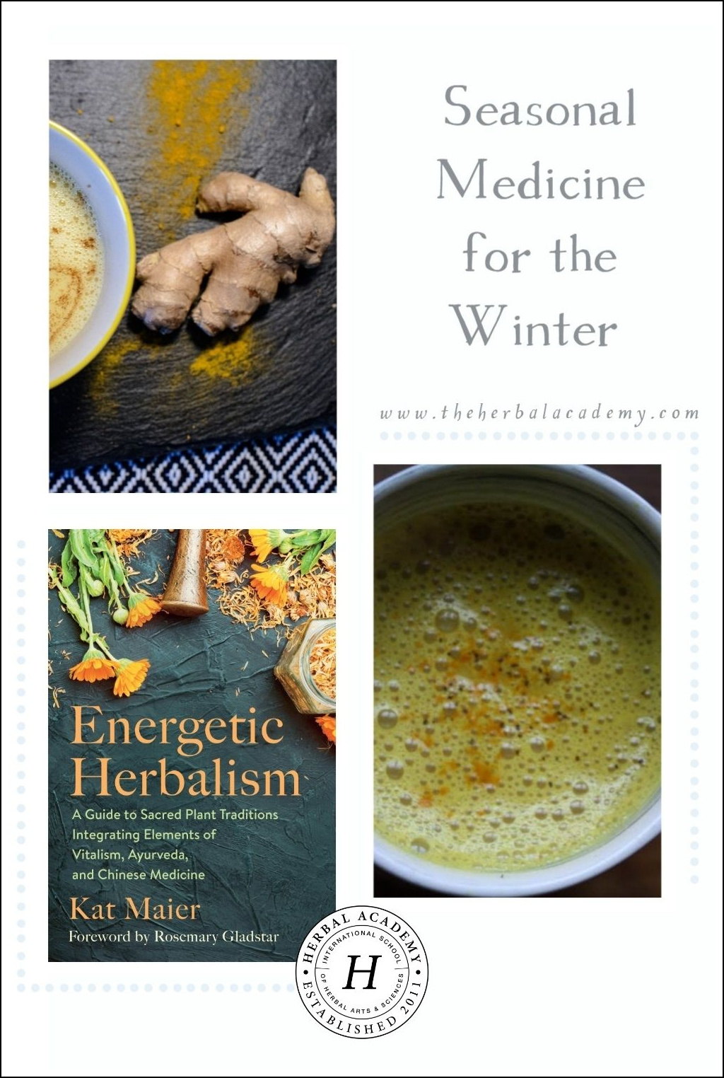 Seasonal Medicine for the Winter | Herbal Academy | Learn about using seasonal medicine for winter in this book excerpt from Kat Maier's book, "Energetic Herbalism".