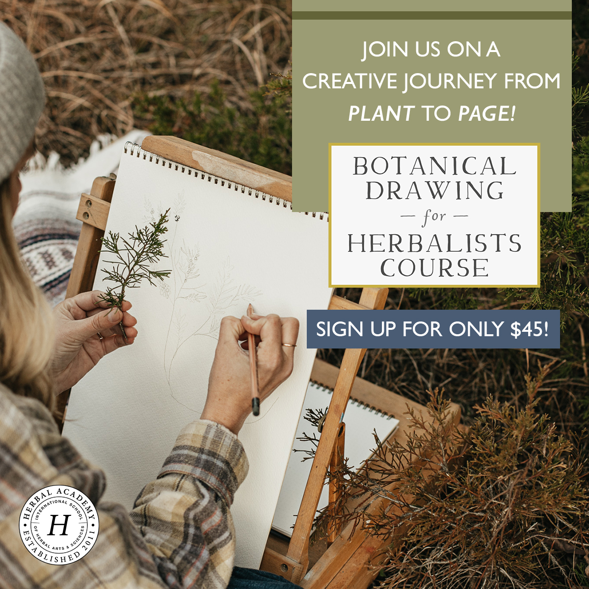Enroll today in our brand NEW Botanical Drawing for Herbalists Course!