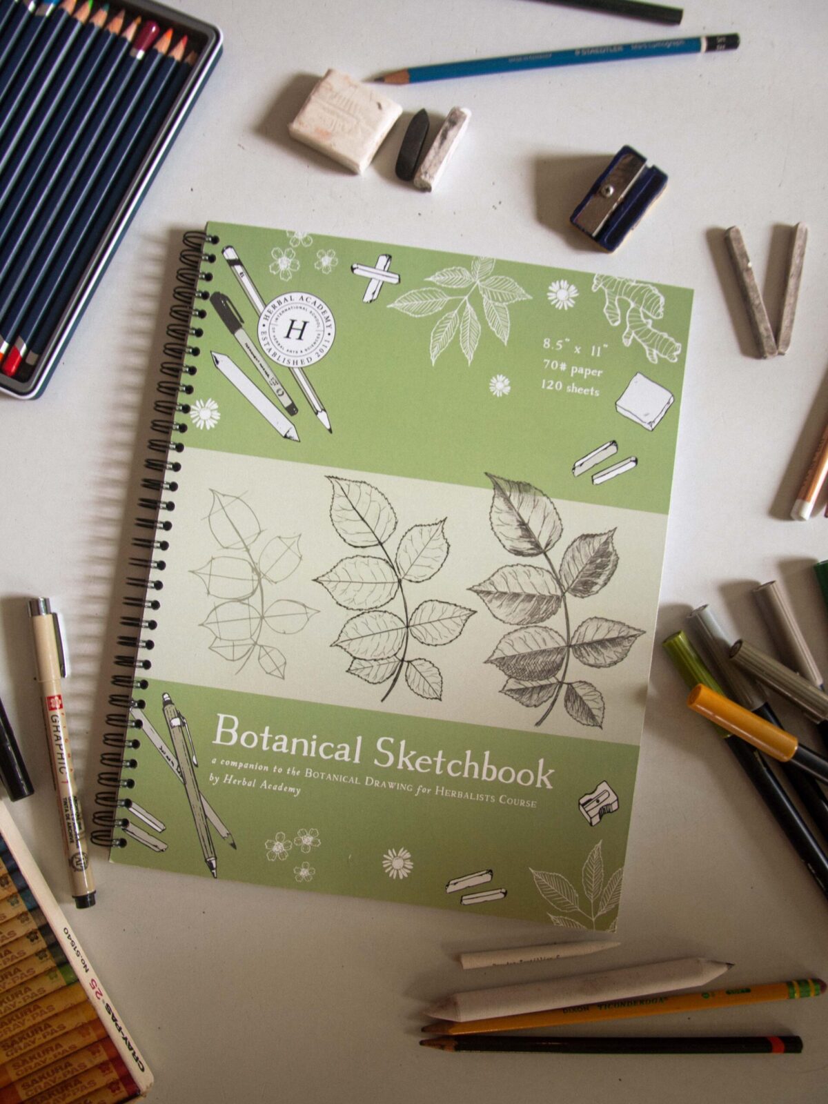 botanical sketchbook on table