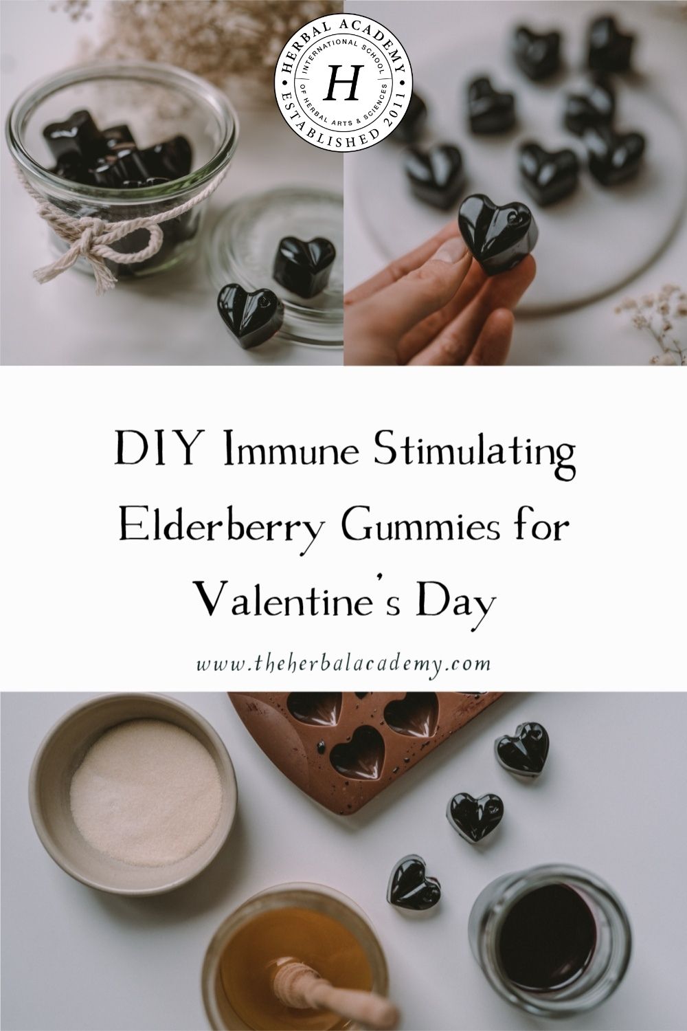 DIY Immune Stimulating Elderberry Gummies for Valentine's Day | Herbal Academy | These elderberry gummies are not only delicious but will provide immune-stimulating support for your loved ones!