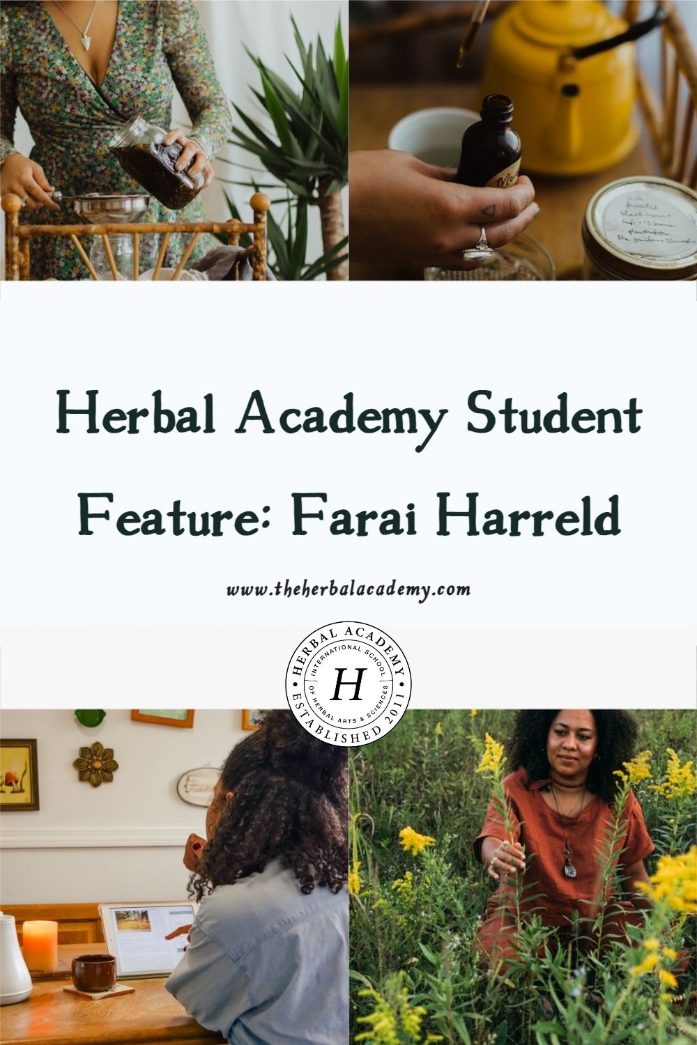 Herbal Academy Student Feature: Farai Harreld | Herbal Academy | Join us for an interview with Farai Harreld (@thehillbillyafrican) to learn about her herbal history and focus on folk herbal remedies.