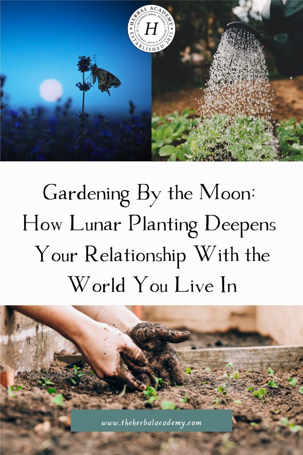 Gardening By the Moon: How Lunar Planting Deepens Your Relationship With the World You Live In | Herbal Academy | Gardening by the moon provides agriculturists with a way of managing work, while helping them to be more connected to the rhythms of nature.