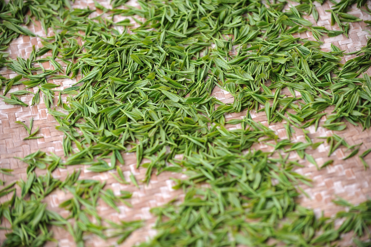 green tea leaves in a basket