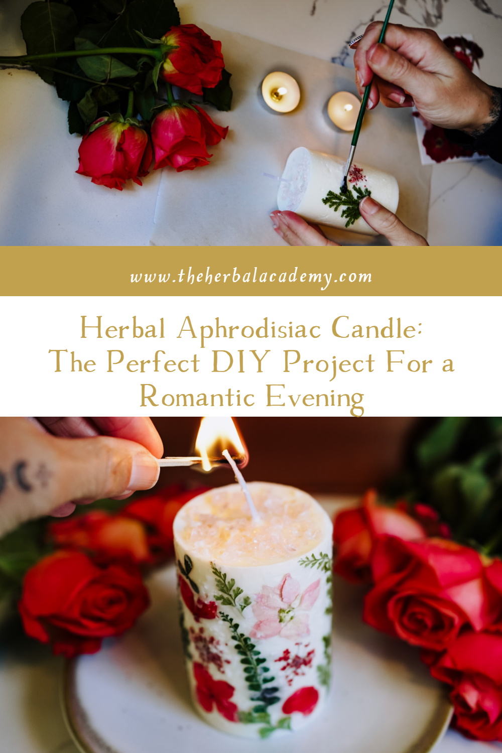 Herbal Aphrodisiac Candle: The Perfect DIY Project For a Romantic Evening | Herbal Academy | A DIY to try this February is an herbal aphrodisiac candle. Turn up the passion and light a fire with this handmade, sensually scented candle.