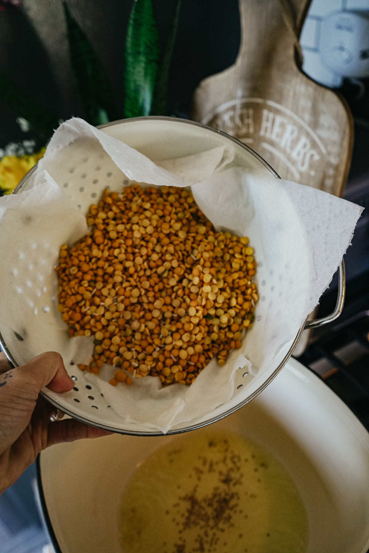 placing mung beans in a pan to cook