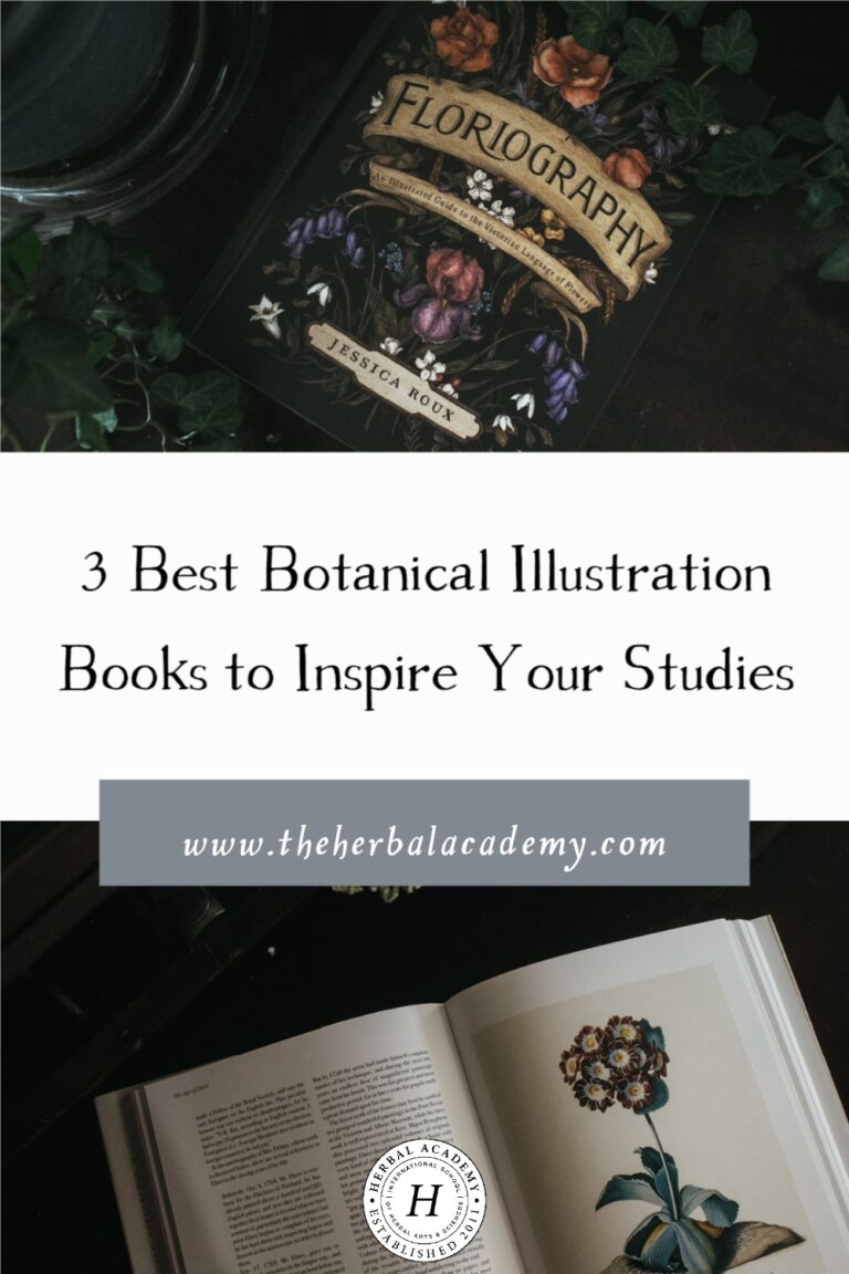 3 Best Botanical Illustration Books to Inspire Your Studies Herbal