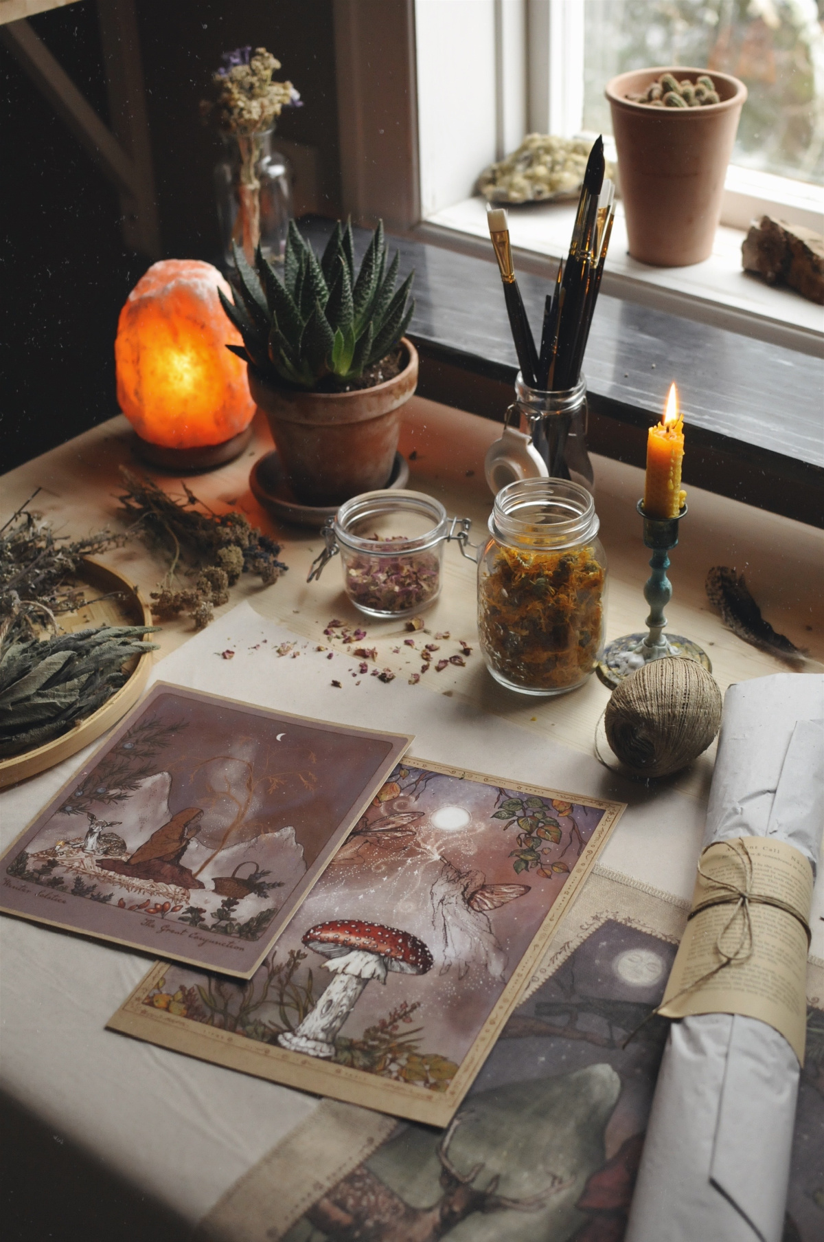 materials for a botanical drawing exercise