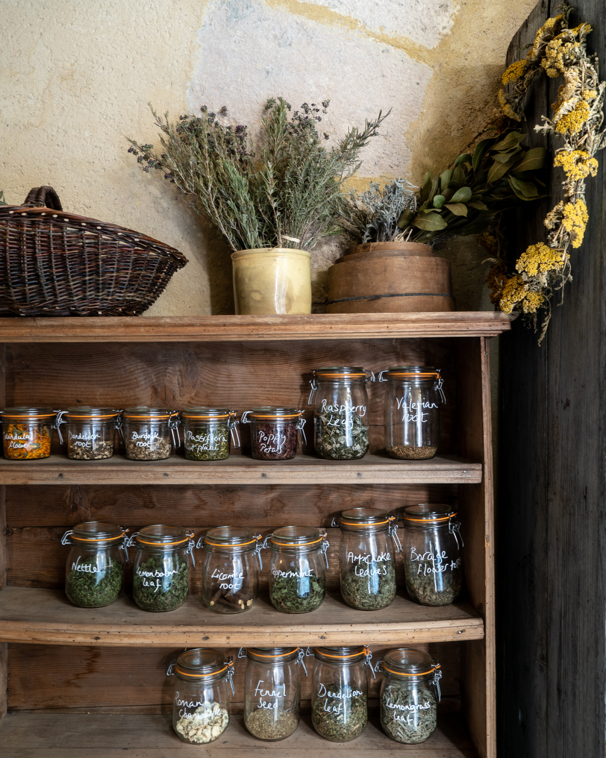 jars of dried herbs on a wooden shelf