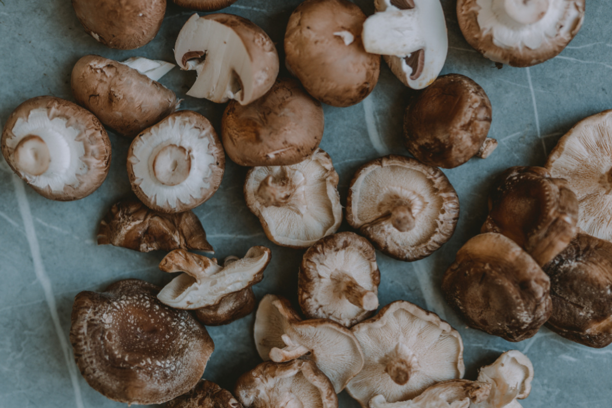 table of mushrooms