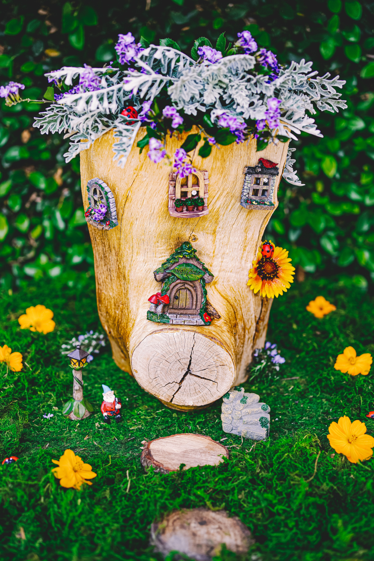 fairy garden