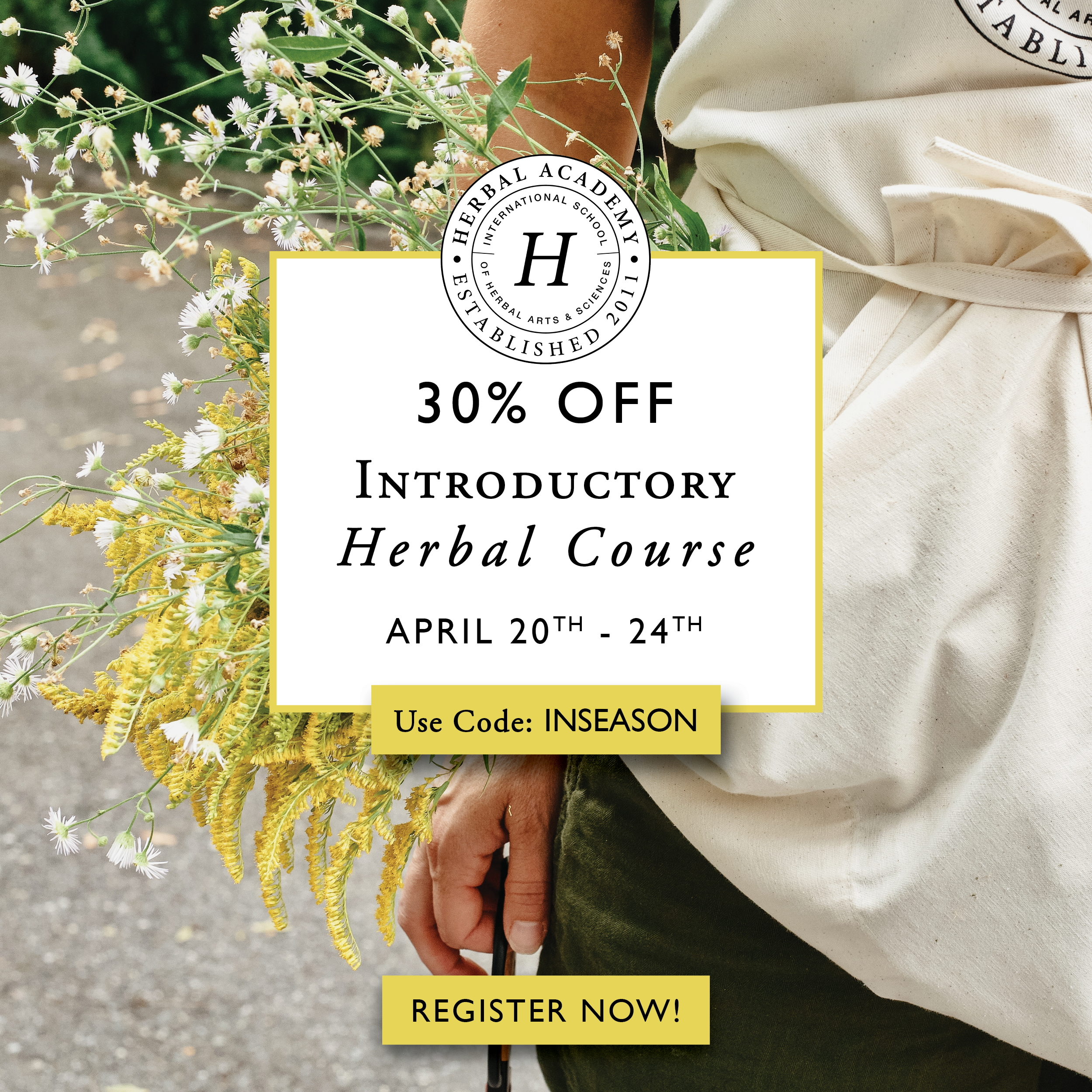 Save 30% on the Introductory Herbal Course until April 24th!