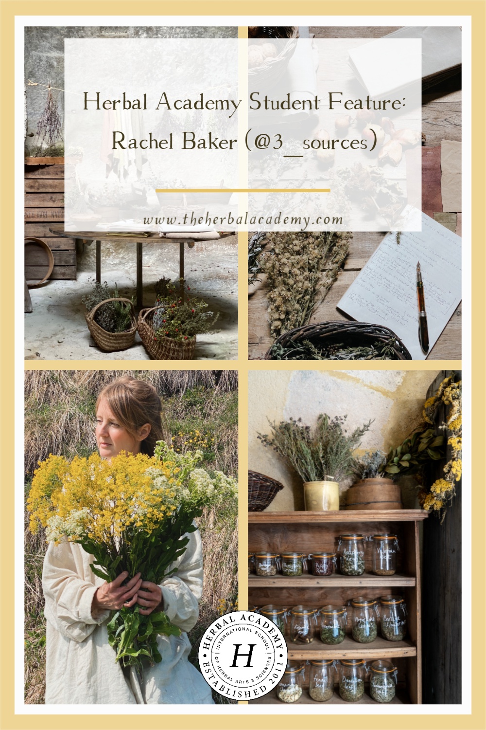 Herbal Academy Student Feature: Rachel Baker (3_sources) | Herbal Academy | We spoke with Rachel Baker of 3 Sources, a business to help others maintain optimal health using nutrition and lifestyle as medicine.