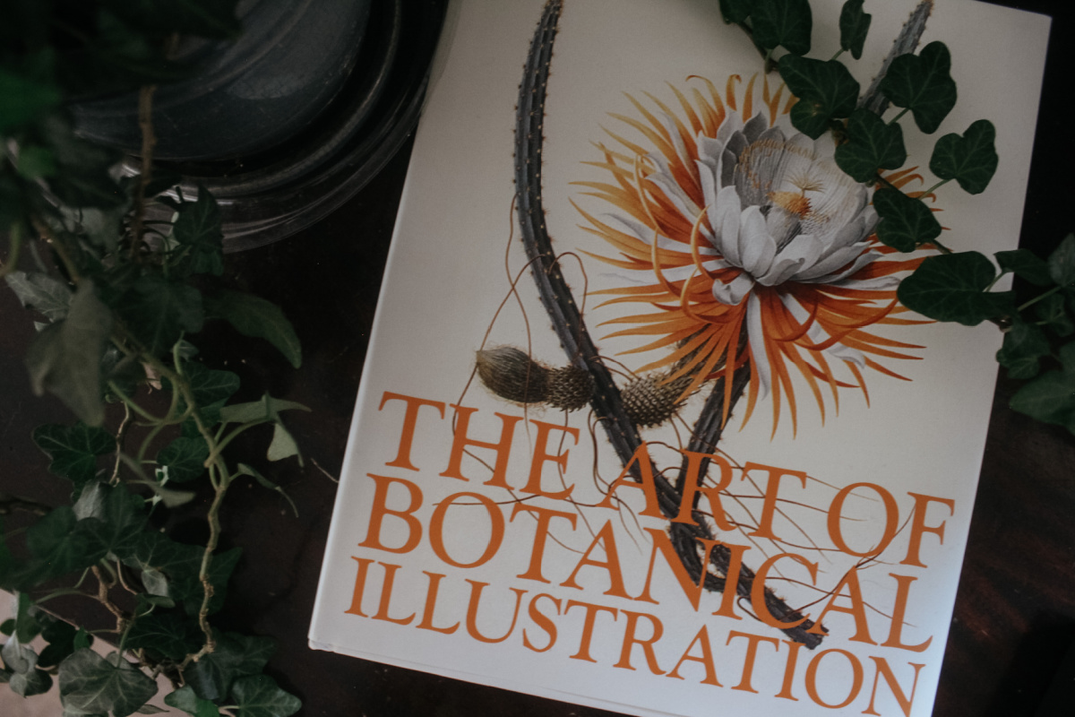 The Art of Botanical Illustration book