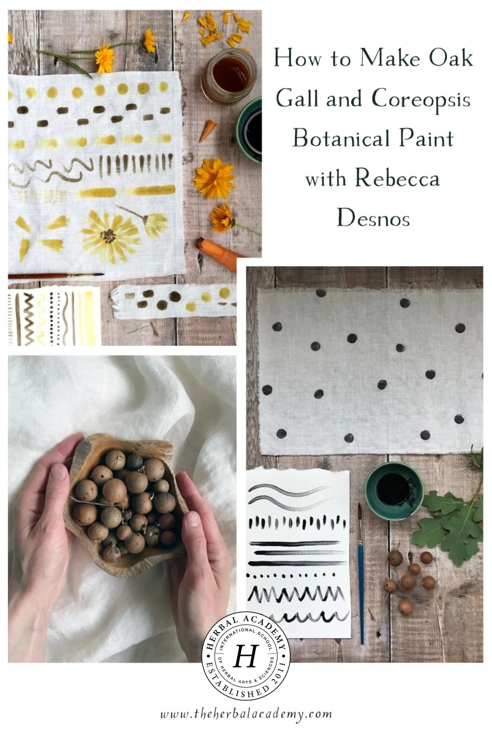 How to make watercolour paint from petals - Rebecca Desnos