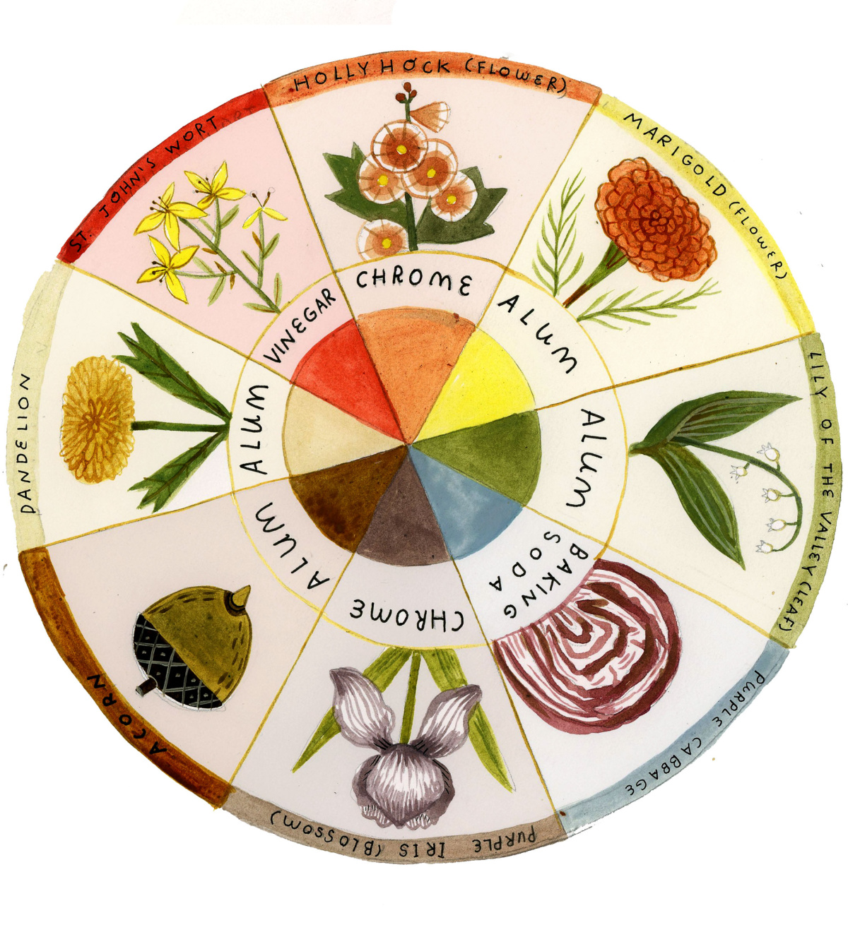 natural dye wheel