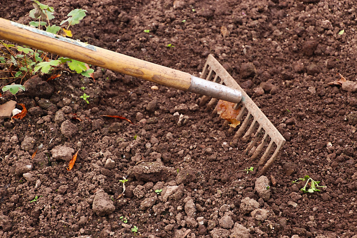 raking a garden