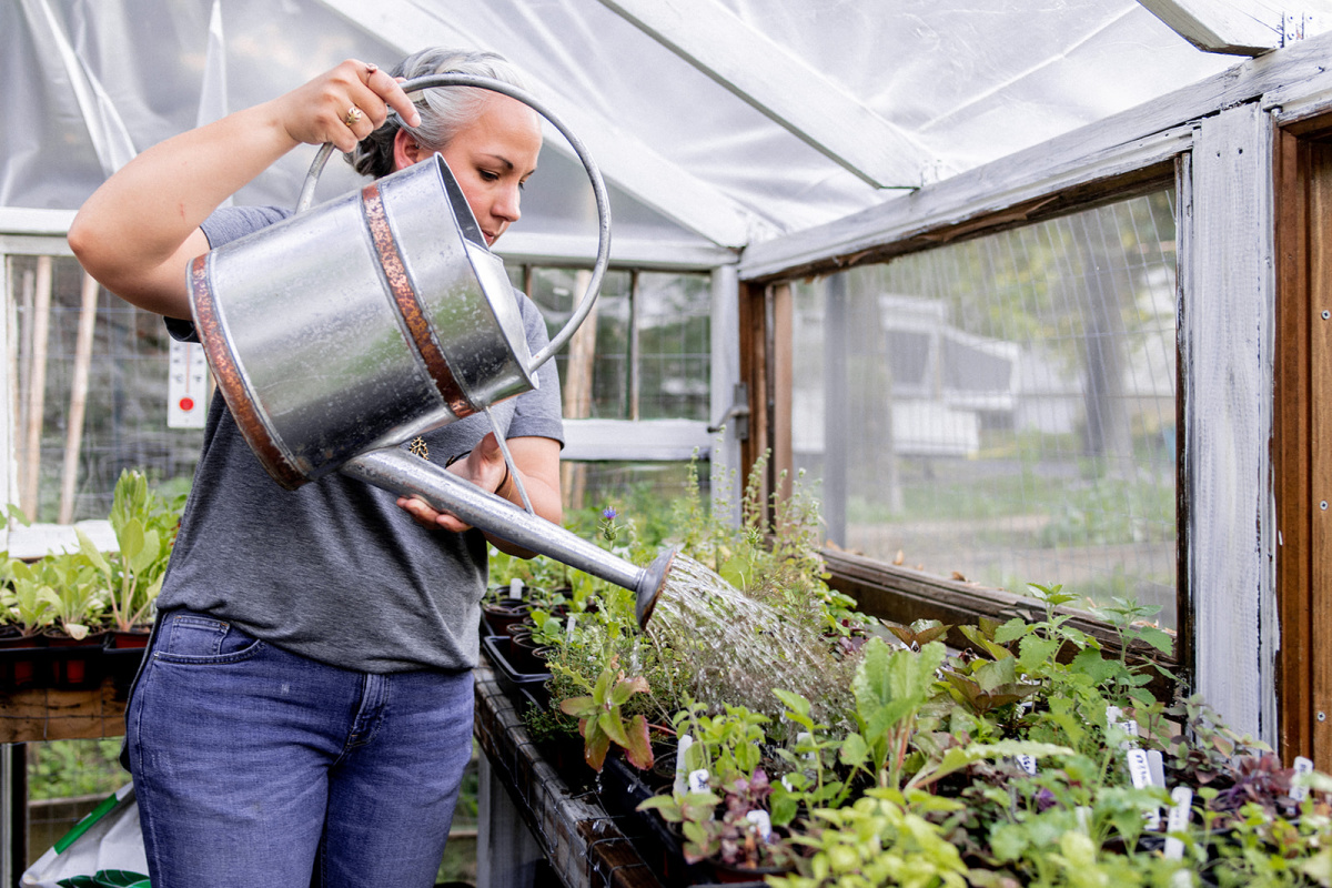 woman watering plants in a greenhouse