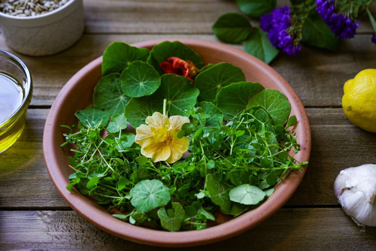 bowl of wild greens