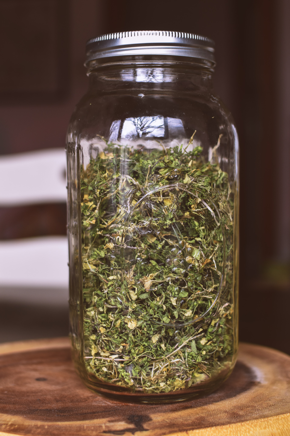 dried chickweed in jar