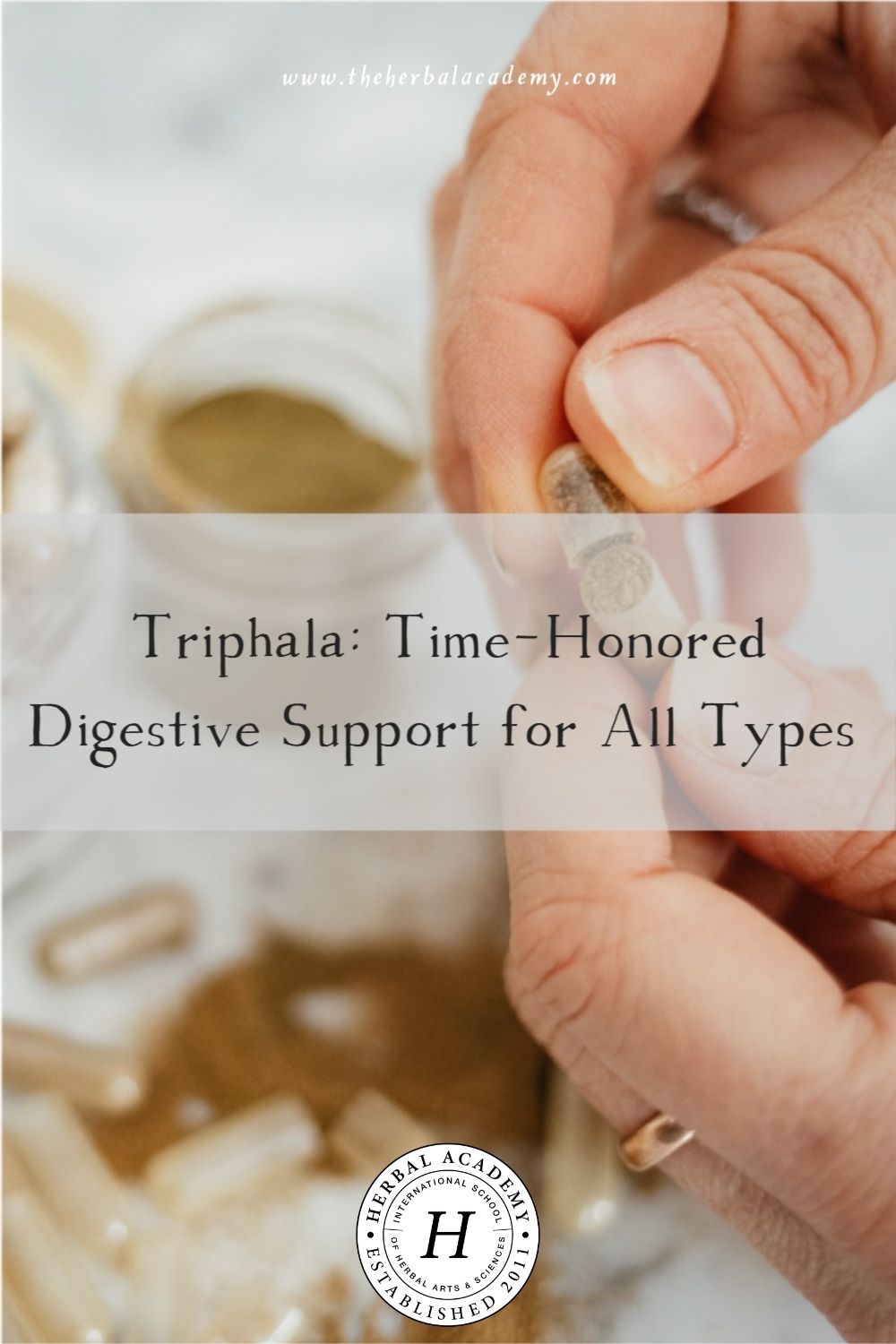 Triphala: Time-Honored Digestive Support for All Types | Herbal Academy | Triphala, meaning “three fruits,” is a combination of three herbs and a wonderful ally for vata, pitta, and kapha types alike.
