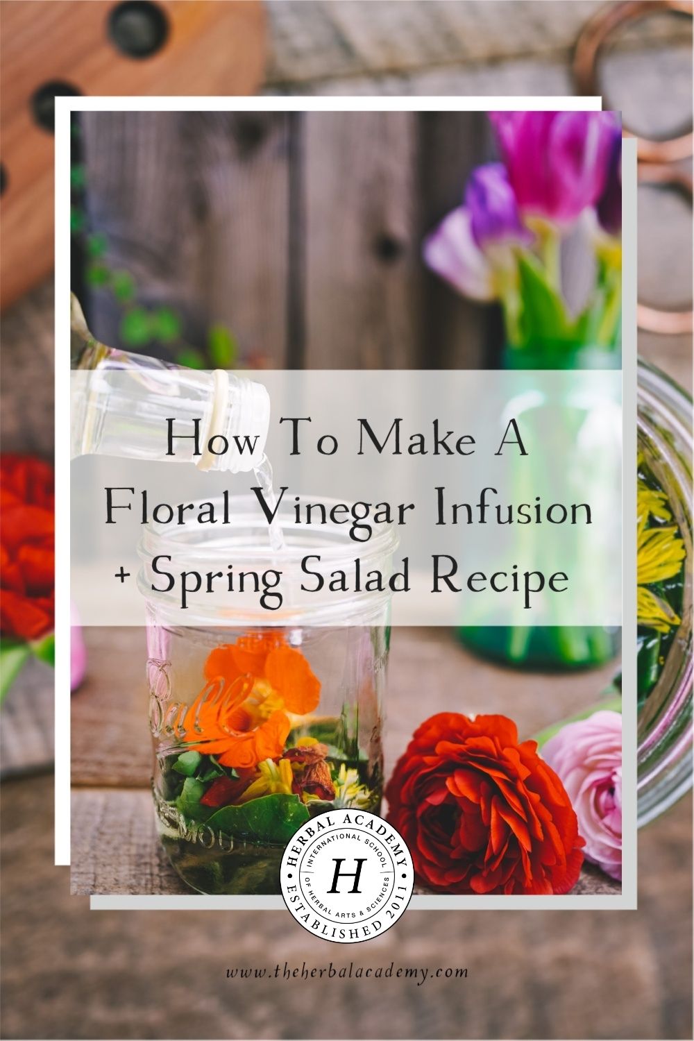 How To Make A Floral Vinegar Infusion + Spring Salad Recipe | Herbal Academy | Plucked from the ground and drizzled onto your plate, a delicious herbal vinegar infusion is a recipe you won’t want to miss out on making!