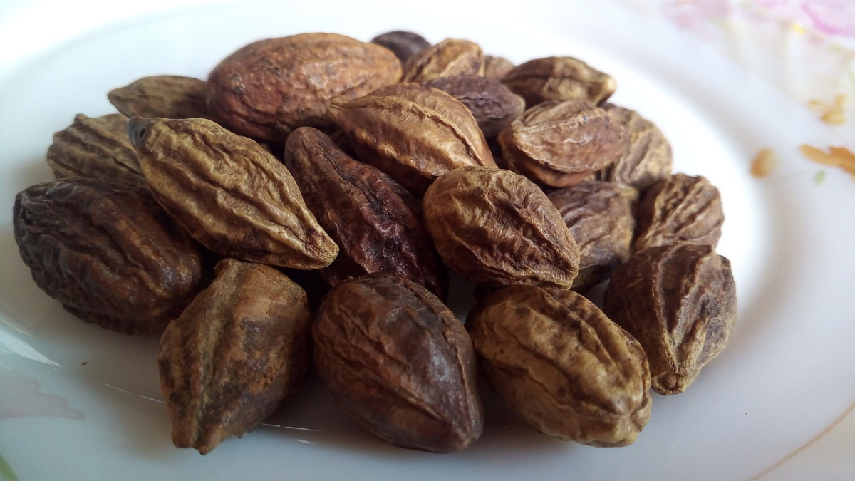 Haritaki (Terminalia chebula) Fruit