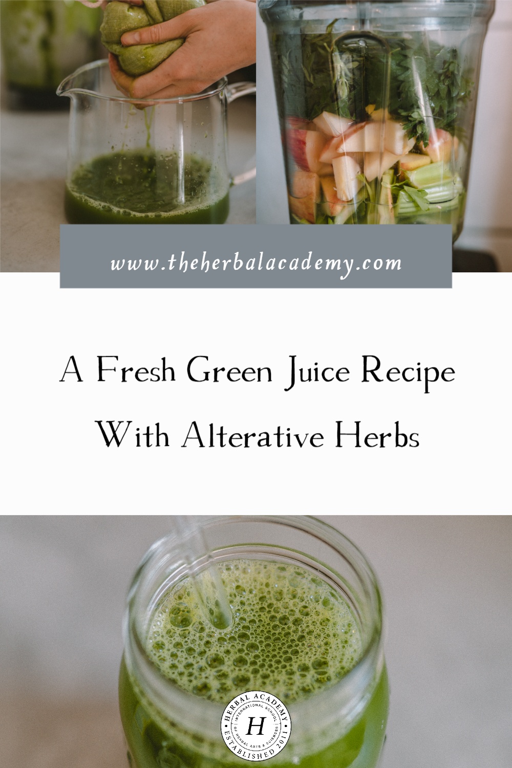 A Fresh Green Juice Recipe With Alterative Herbs | Herbal Academy | In this article, you will learn how alteratives work and find a delicious green juice recipe that is perfect for spring.